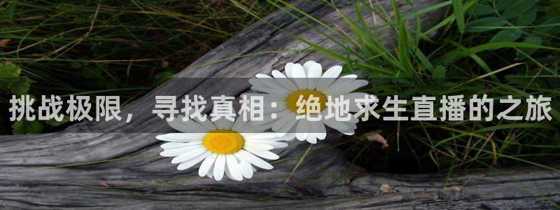 看球吧直播视频在线直播：挑战极限，寻找真相：绝地求生直播的之旅