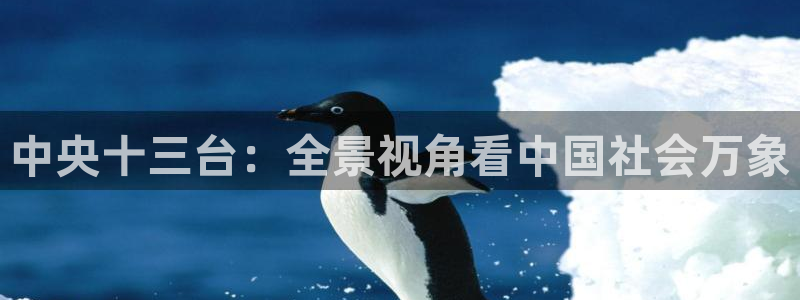 24看球吧直播