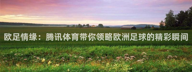 88看球吧直播：欧足情缘：腾讯体育带你领略欧洲足球的精彩瞬间