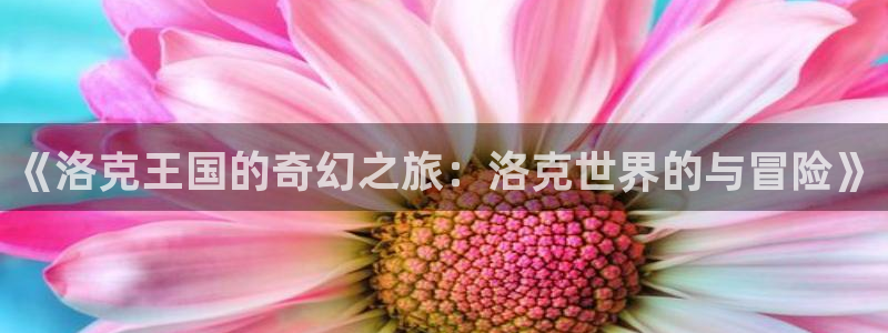 看球吧nba直播：《洛克王国的奇幻之旅：洛克世界的与冒险》