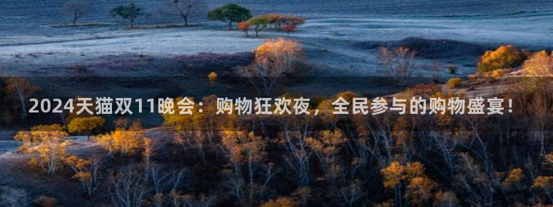 看球吧直播下载：2024天猫双11晚会：购物狂欢夜，全民参与的购物盛宴！