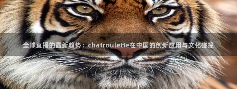 看球吧直播视频在线直播：全球直播的最新趋势：chatroulette在中国的创新应用与文化碰撞