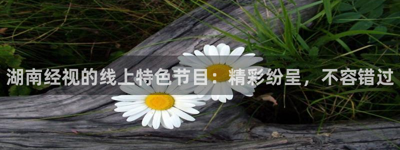 看球吧直播nba直播：湖南经视的线上特色节目：精彩纷呈，不容错过