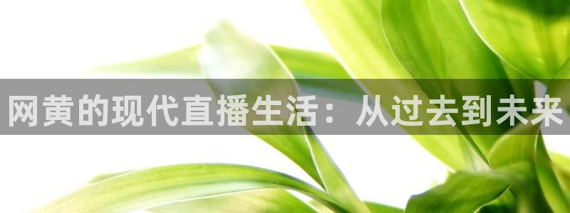 看球吧直播入口