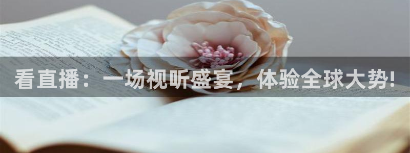 nba视频直播无插件看球吧：看直播：一场视听盛宴，体验全球大势!